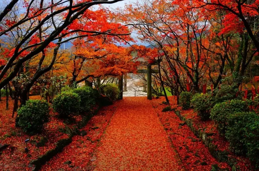 best time to visit Fukuoka best time to visit Fukuoka