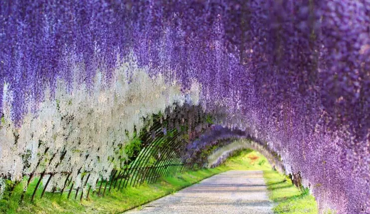 best time to visit Fukuoka best time to visit Fukuoka