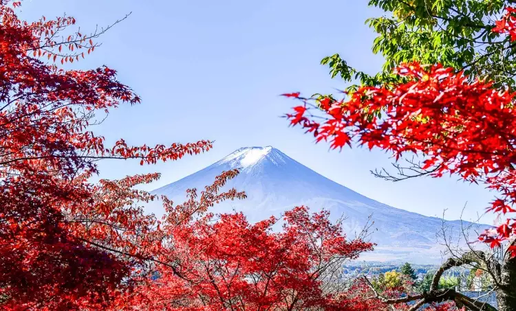 Hakone travel guide