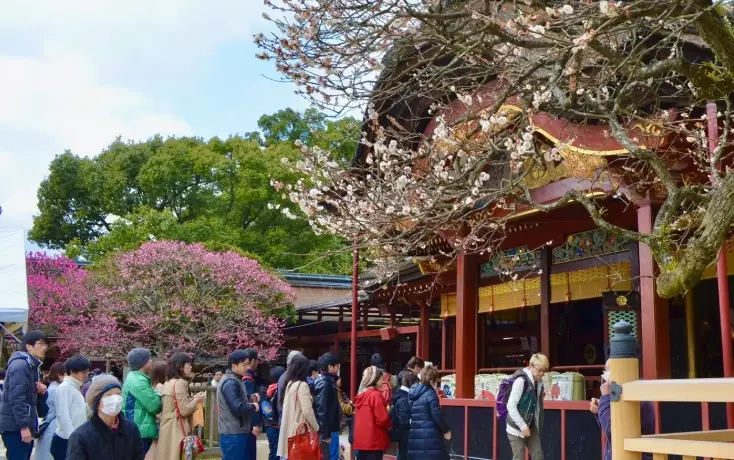 things to do in Fukuoka things to do in Fukuoka