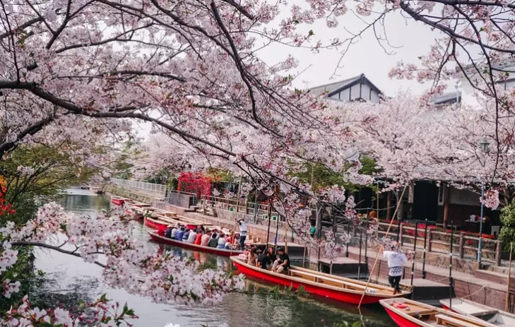 things to do in Fukuoka things to do in Fukuoka