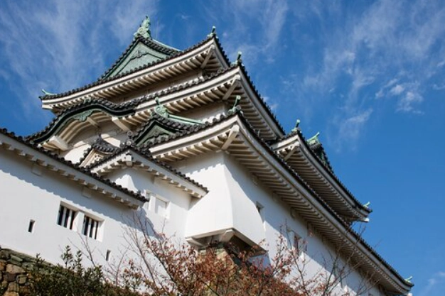 Japan castle guide