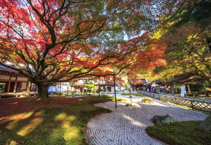 things to do Fukuoka autumn things to do Fukuoka autumn