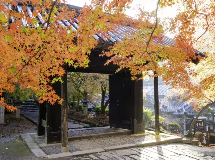 Fukuoka weather November Fukuoka weather November