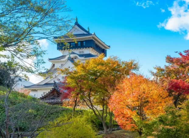 Fukuoka November travel Fukuoka November travel