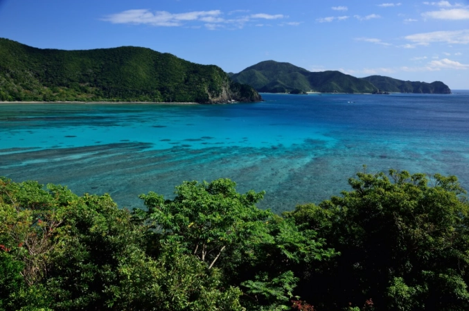 things to do in Kyushu