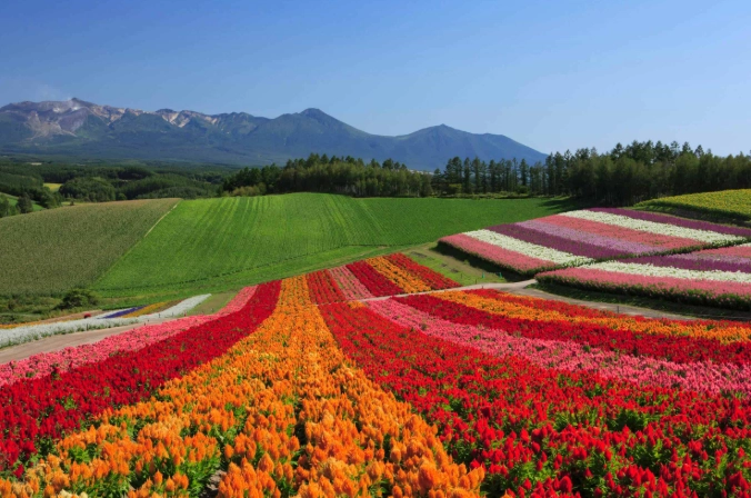 Hokkaido itinerary