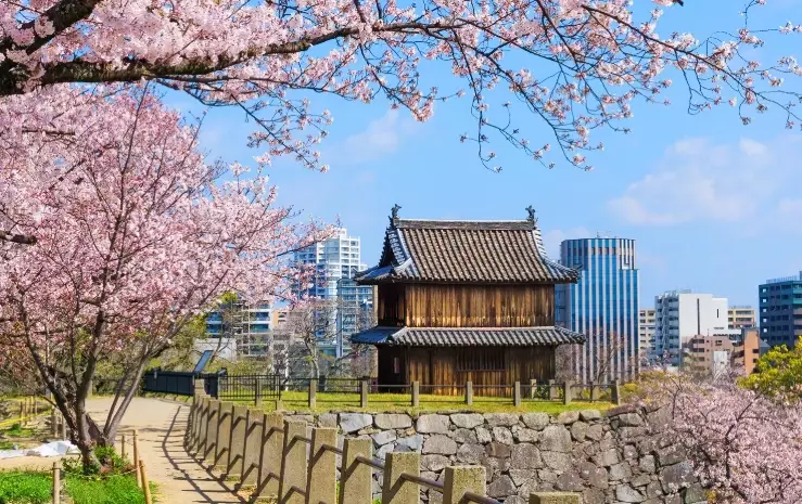 Fukuoka food Fukuoka food