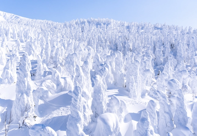 What is Yamagata famous for