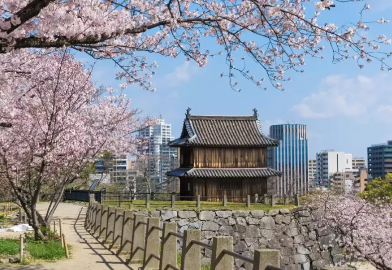 Fukuoka sightseeing Fukuoka sightseeing