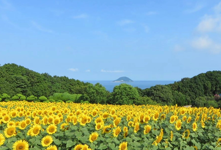 best places Fukuoka best places Fukuoka