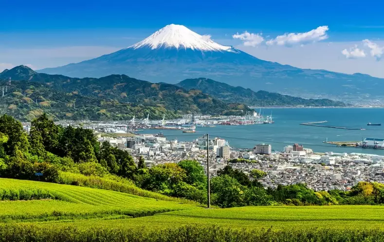 Shizuoka travel guide