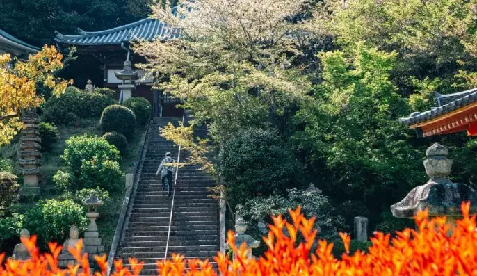 Shikoku travel guide