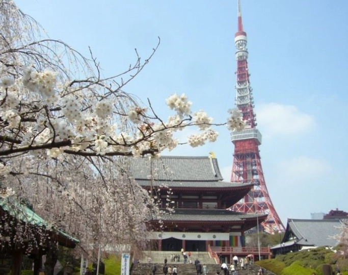 Tokyo or Kyoto better