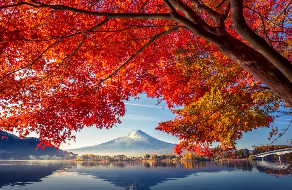 best autumn leaves in japan