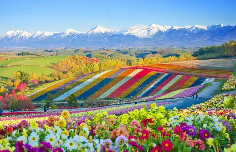 Hokkaido Japan travel