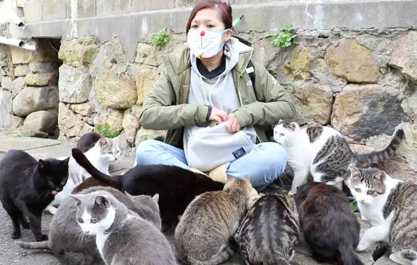 japanese cat island
