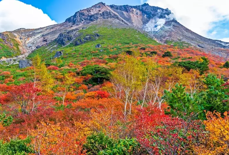 Tochigi prefecture guide Tochigi prefecture guide