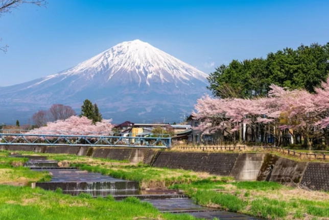 Tokyo to Shizuoka day trip Tokyo to Shizuoka day trip