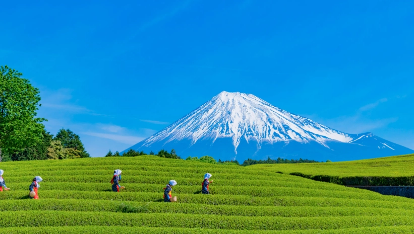 Studio Ghibli Shizuoka Studio Ghibli Shizuoka