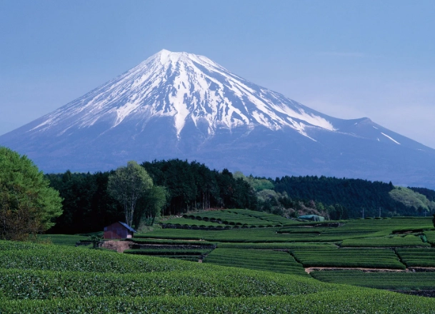 How to get to Shizuoka from Tokyo How to get to Shizuoka from Tokyo