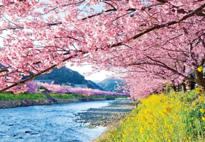 Tokyo to Shizuoka day trip Tokyo to Shizuoka day trip