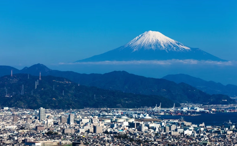 Tokyo to Shizuoka day trip Tokyo to Shizuoka day trip