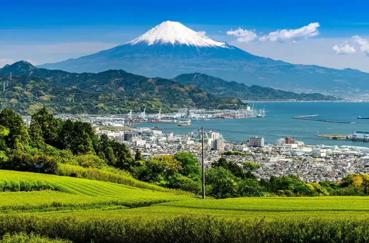Is Shizuoka foreigner friendly?