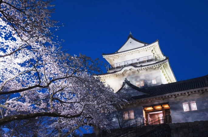 things to do in Kanagawa