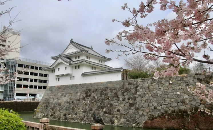 Is Shizuoka City worth visiting?