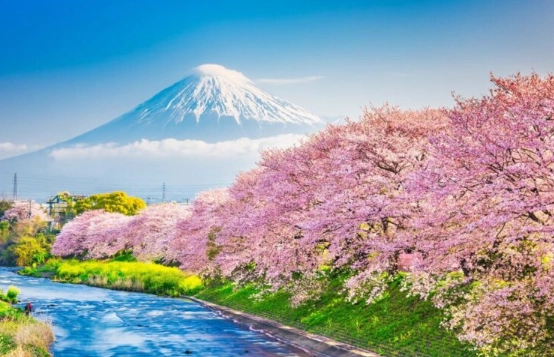 Shizuoka attractions Shizuoka attractions