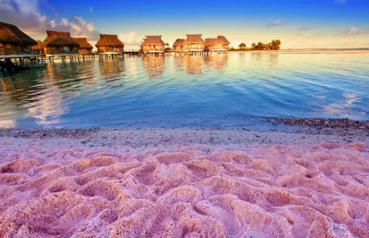 pink sand beaches japan pink sand beaches japan