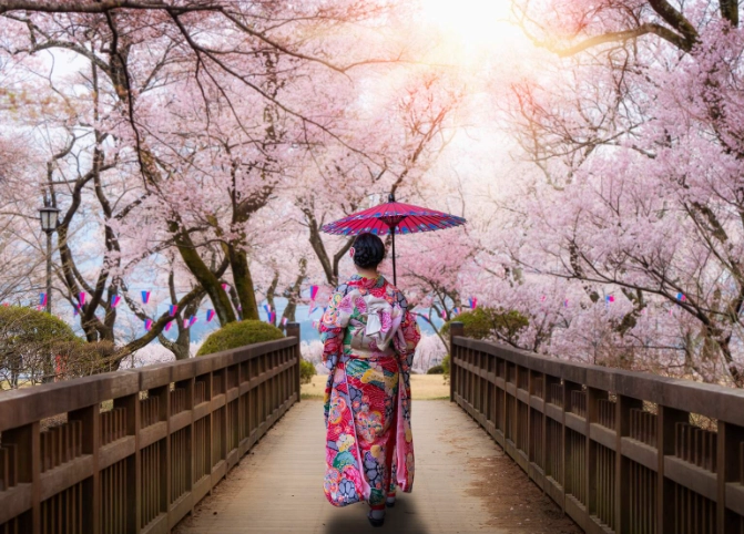 japan 14 day itinerary