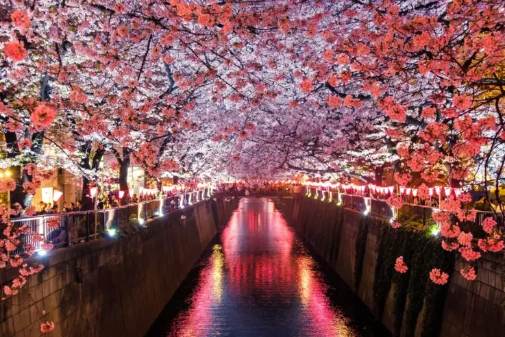 japan solo travel itinerary