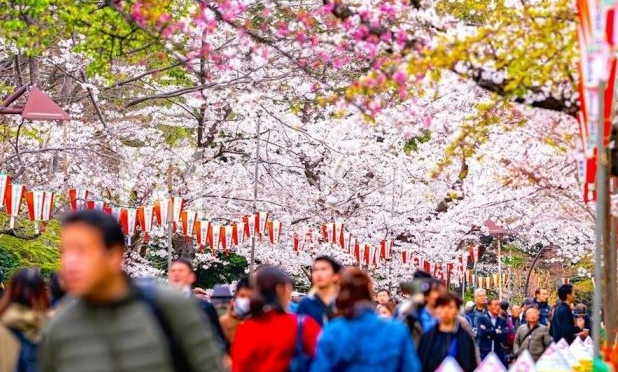 best japan itinerary 10 days