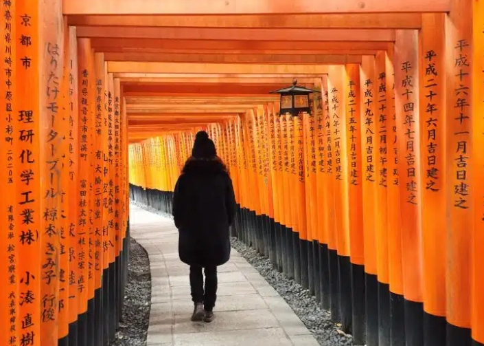 japan 10 day itinerary