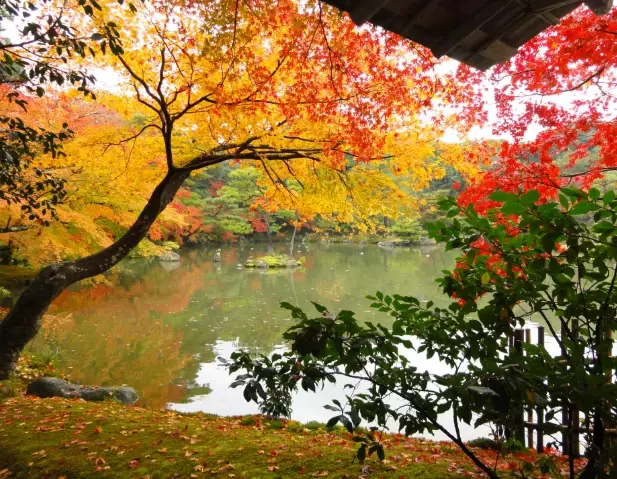 cheapest month to fly to japan cheapest month to fly to japan