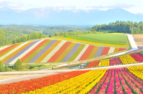 first time Japan itinerary first time Japan itinerary