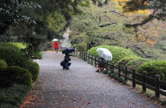 Japan solo travel itinerary