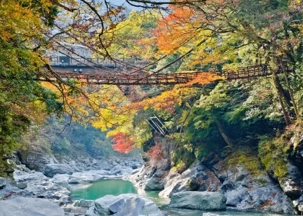 unique Japan destinations