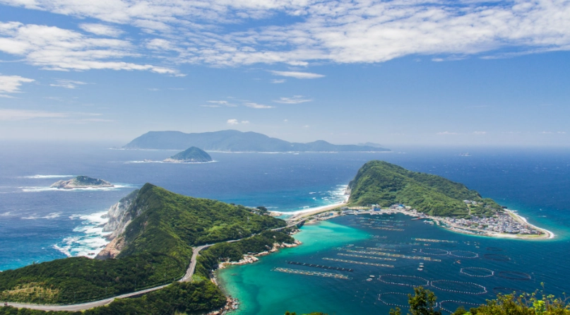 things to do in Kochi