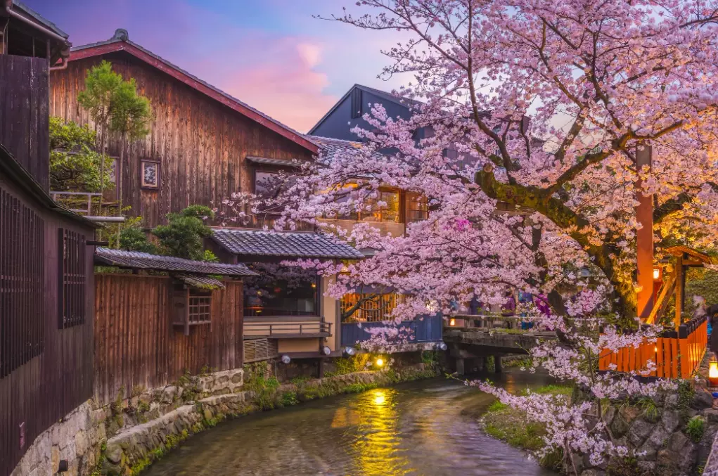 best temples in kyoto
