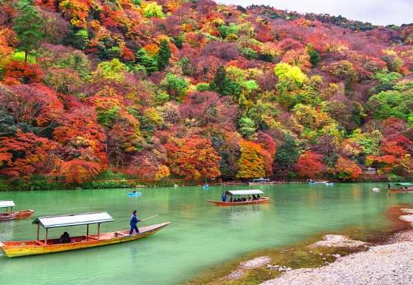 japan autumn leaves forecast