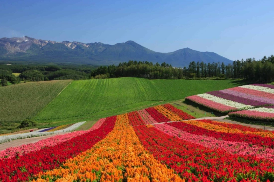 Hokkaido travel guide