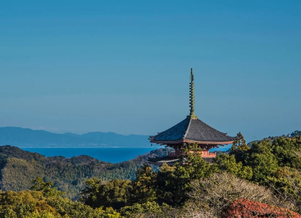 things to do in Shikoku