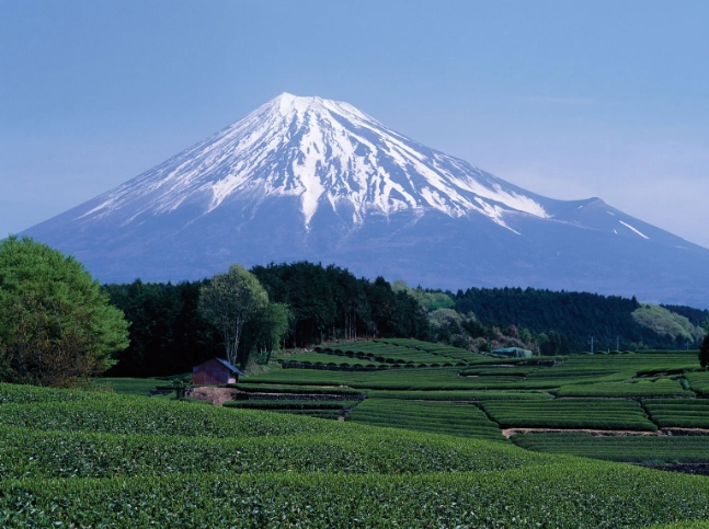 Mt. Fuji climbing guide