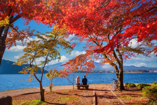 autumn in japan travel guide