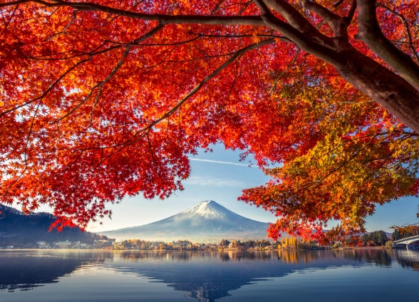 autumn in japan