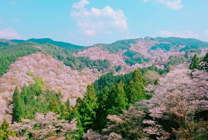 mount yoshino