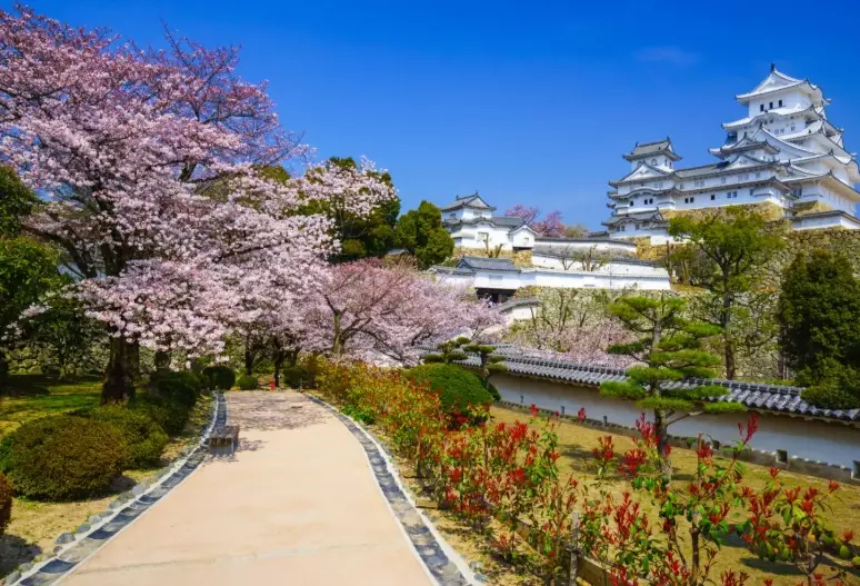 things to do in Kobe